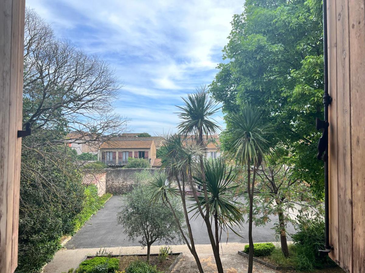 Cote Jardin Est Un Spacieux Et Lumineux T3, Entierement Renove, A 2 Pas De L'Herault Et A 10Min Du Bord De Mer Proche Du Centre Historique Et Du Fabuleux Chateau Laurens, Vous Apprecierez Le Calme De Sa Belle Terrasse Et La Vue Superbe Sur Le Jardin Agde Exteriör bild